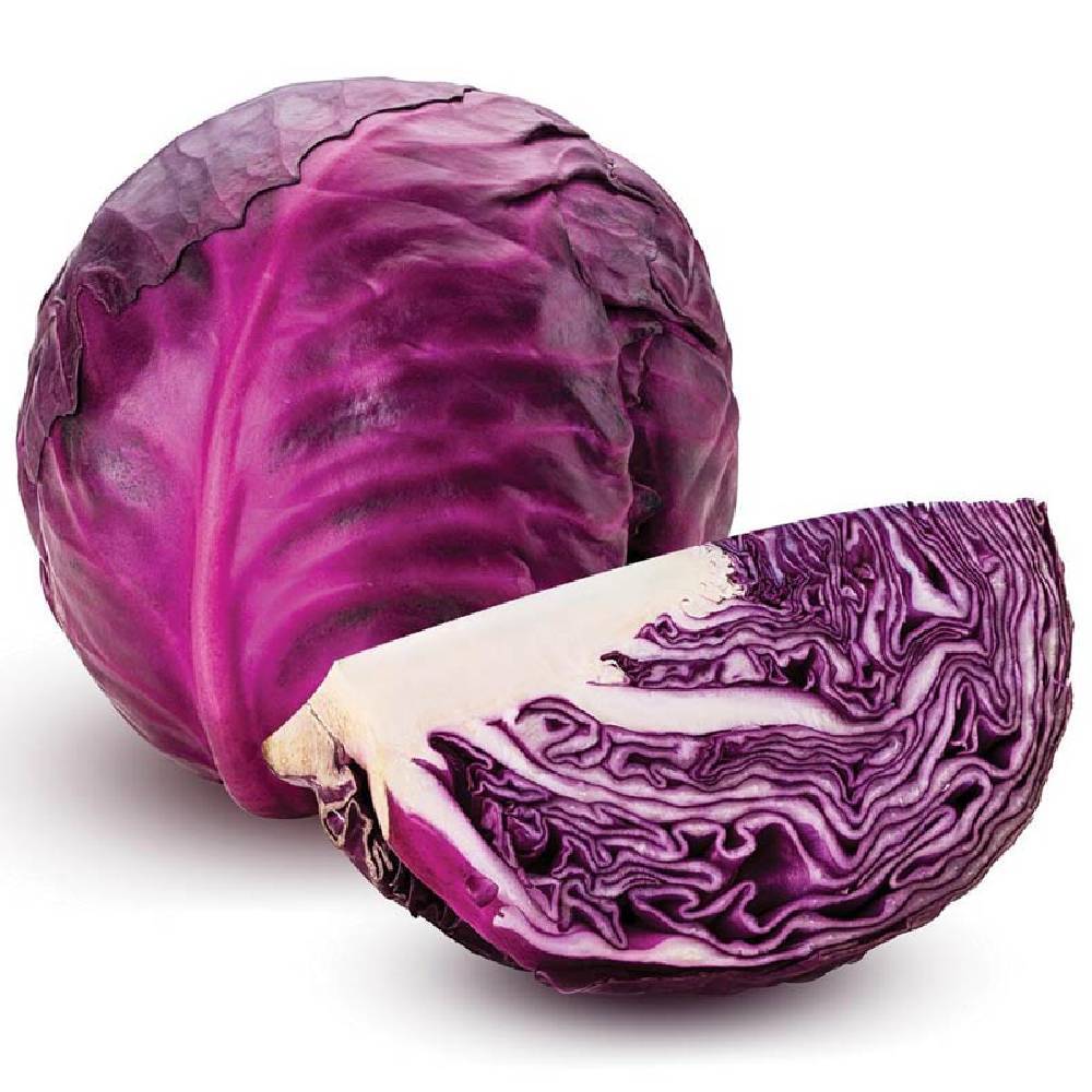 Repollo Rojo Orgánico