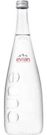 Evian Sparkling Water 25 oz