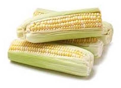Tray-Packed Corn / Mazorcas de Maíz 4 ct