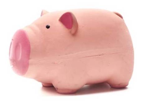 Paws Happy Life Pig Dog Toy