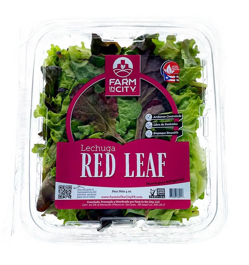 Farm in the City Lechuga Read Leaf 4 oz
