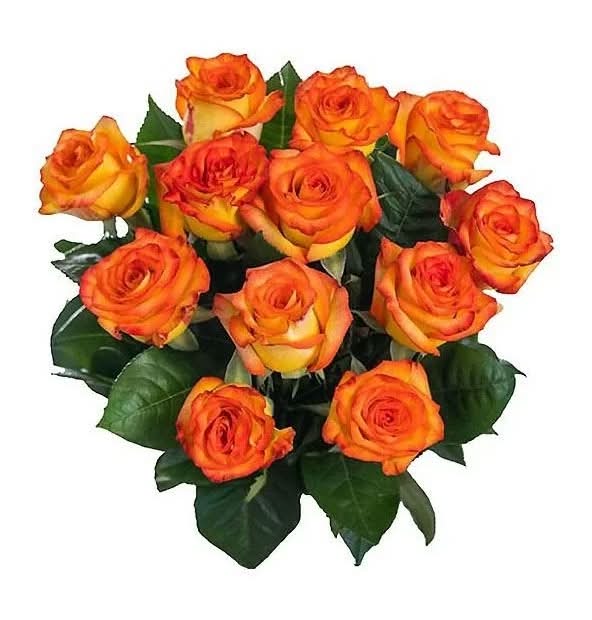 Bouquet Doce Rosas Anaranjadas 