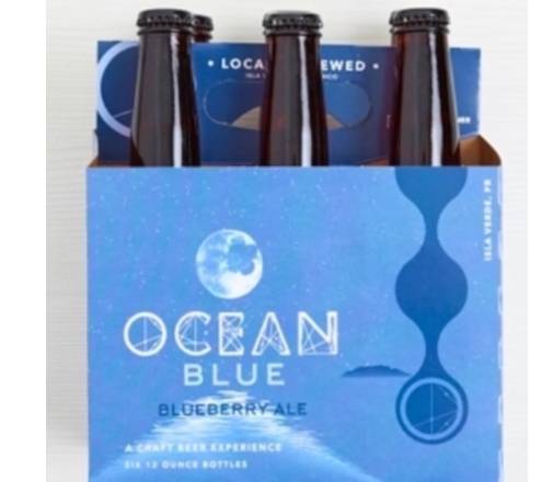 Ocean Lab Blue Blueberry Ale 6-12 oz