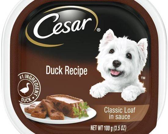 Cesar Duck Recipe