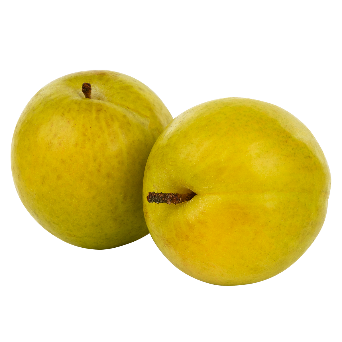 Sierra Gold Honey Plum 2 lbs