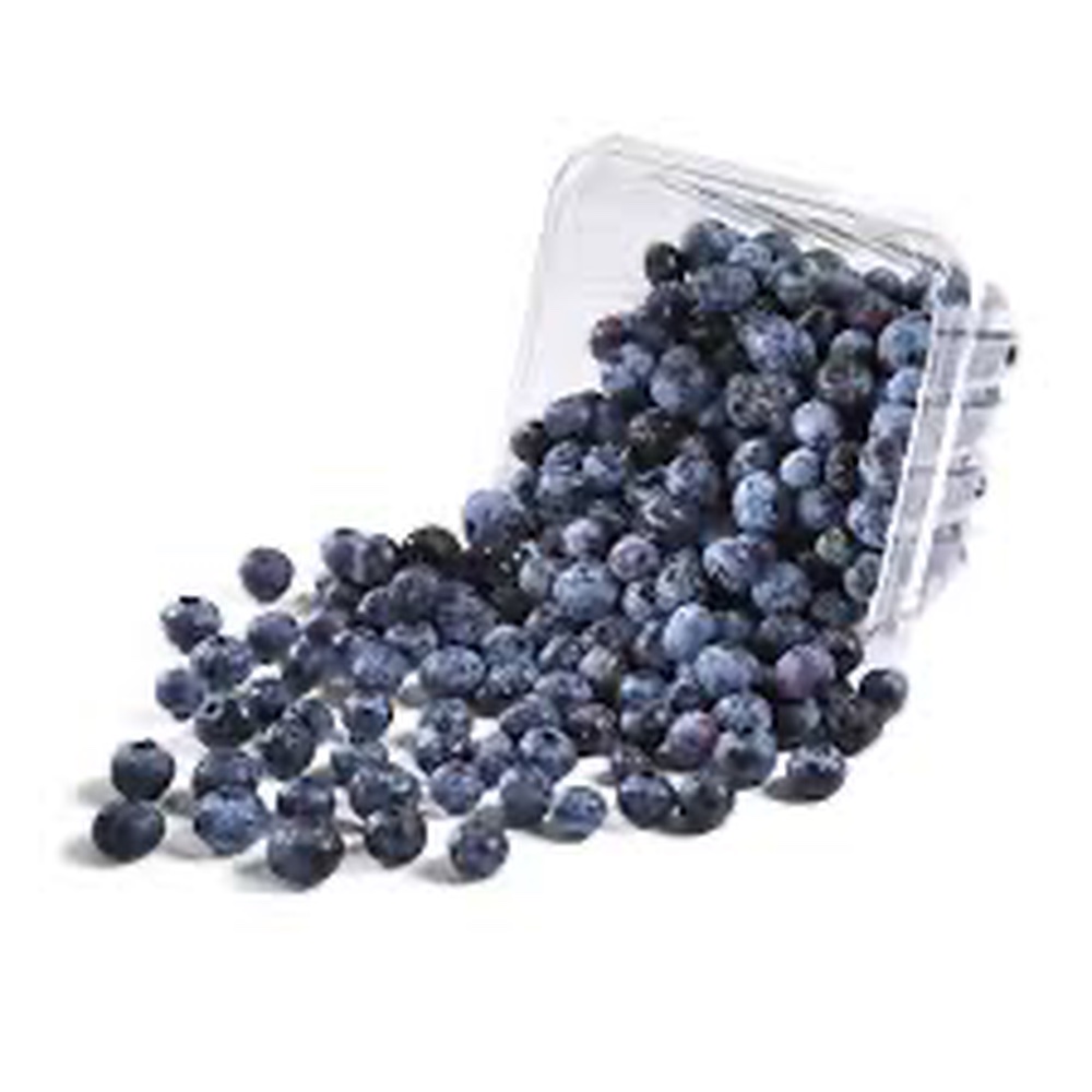 Organic Blueberries 18 oz