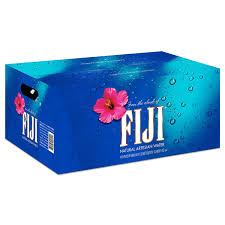 Fiji Natural Artesian Water 24-16.9 oz 