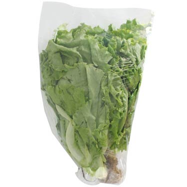 Lechuga del País