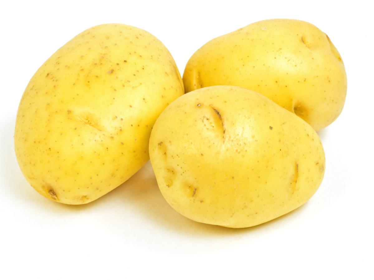 Gold Potatoes 10 lbs