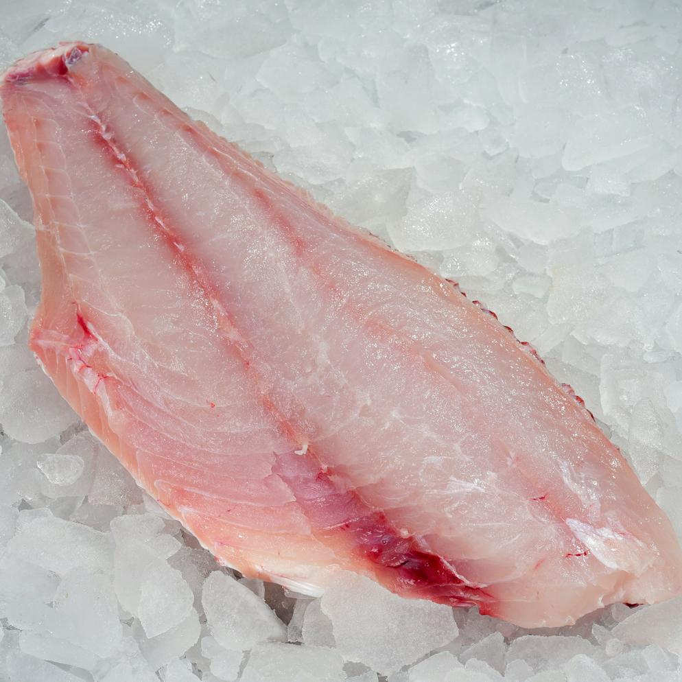Fresh Wild Snapper Fillet, price per lb