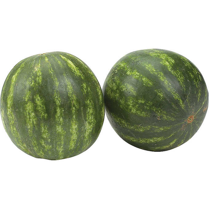 Mini Seedless Watermelon 2 ct
