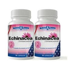 Echinacea, 90 ct